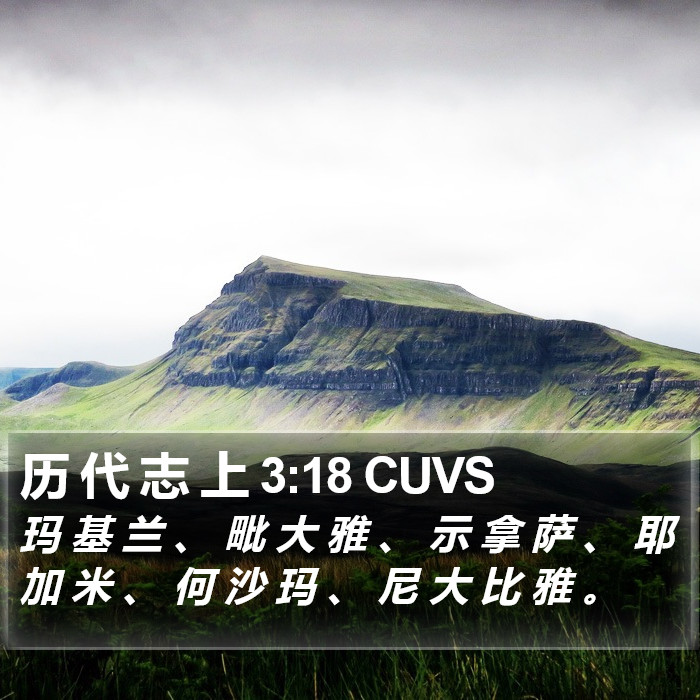 历 代 志 上 3:18 CUVS Bible Study