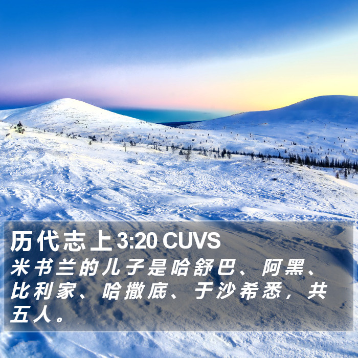历 代 志 上 3:20 CUVS Bible Study