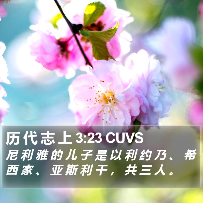 历 代 志 上 3:23 CUVS Bible Study