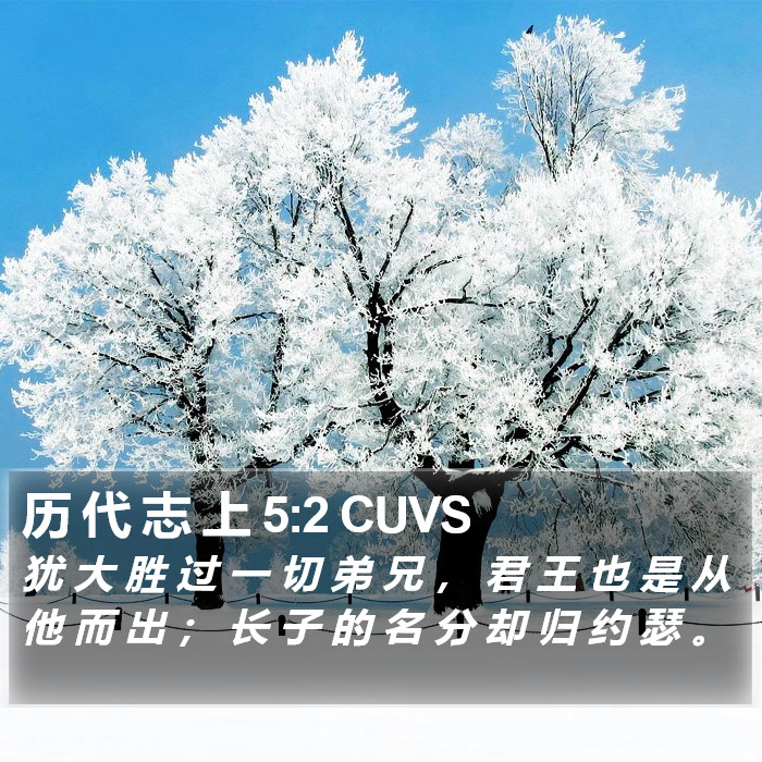 历 代 志 上 5:2 CUVS Bible Study