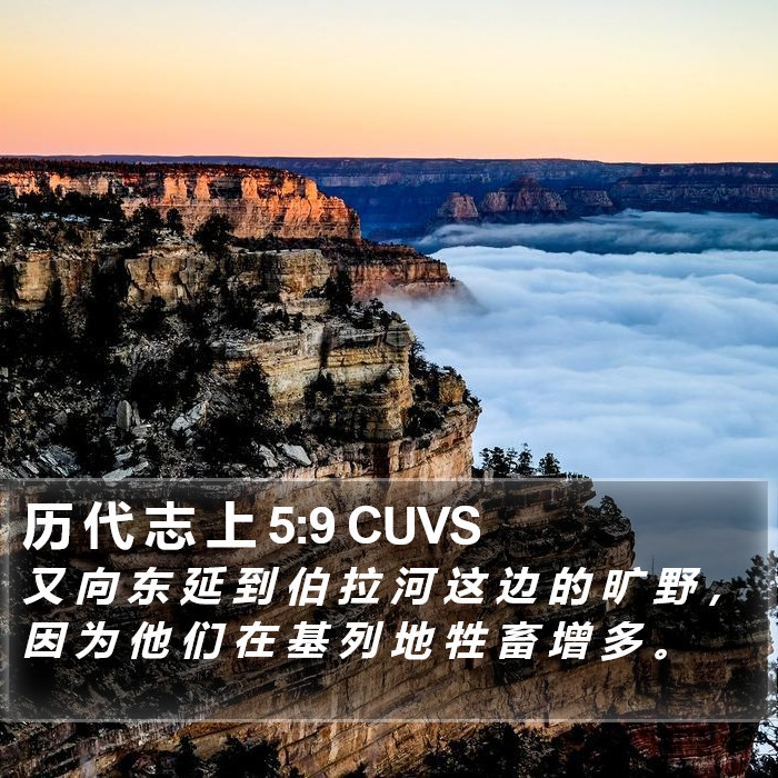 历 代 志 上 5:9 CUVS Bible Study