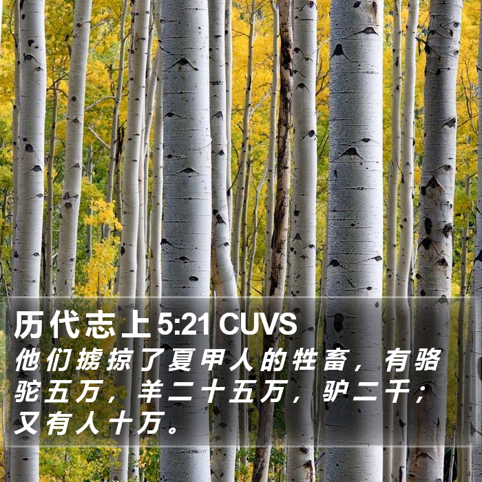 历 代 志 上 5:21 CUVS Bible Study