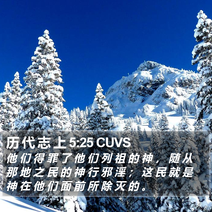 历 代 志 上 5:25 CUVS Bible Study
