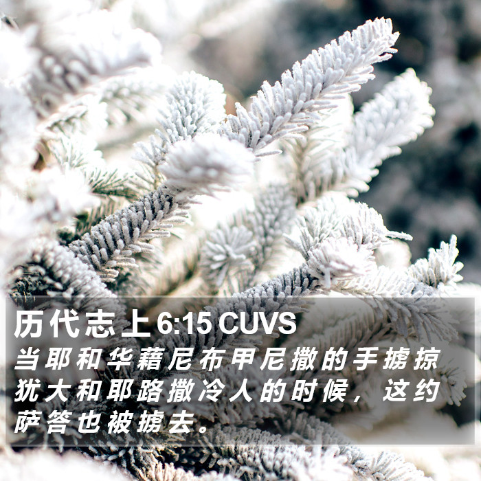 历 代 志 上 6:15 CUVS Bible Study