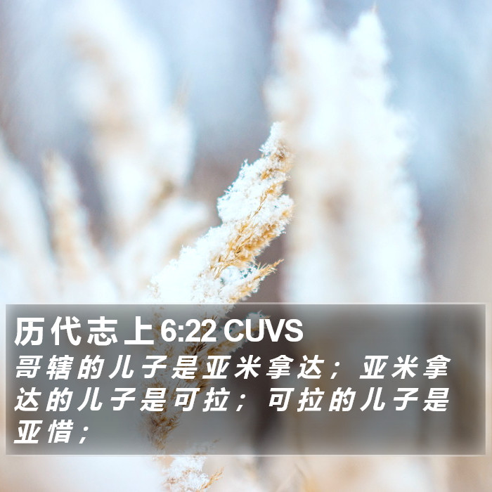 历 代 志 上 6:22 CUVS Bible Study