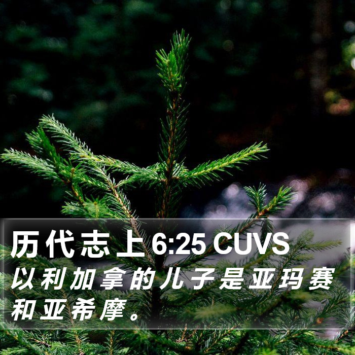 历 代 志 上 6:25 CUVS Bible Study