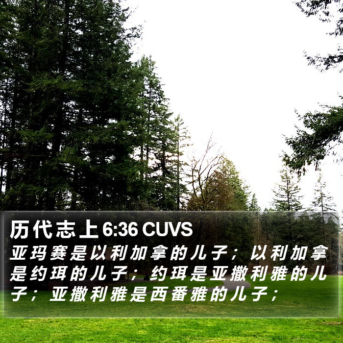 历 代 志 上 6:36 CUVS Bible Study