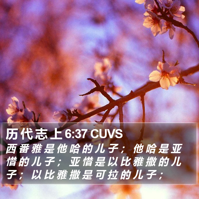 历 代 志 上 6:37 CUVS Bible Study