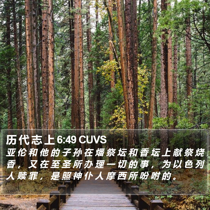 历 代 志 上 6:49 CUVS Bible Study