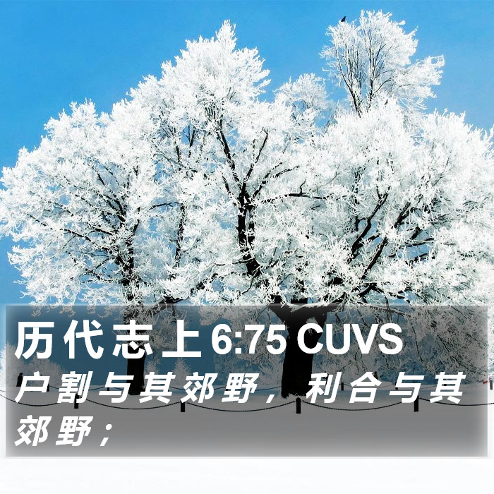 历 代 志 上 6:75 CUVS Bible Study