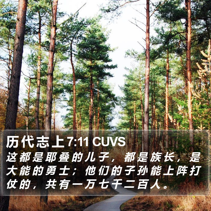 历 代 志 上 7:11 CUVS Bible Study