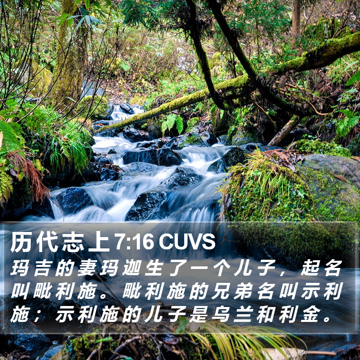 历 代 志 上 7:16 CUVS Bible Study