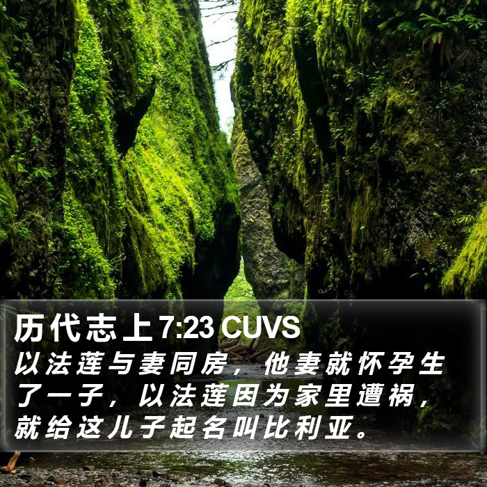 历 代 志 上 7:23 CUVS Bible Study