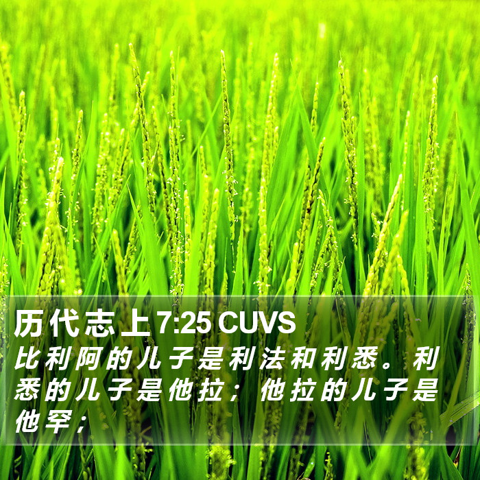 历 代 志 上 7:25 CUVS Bible Study