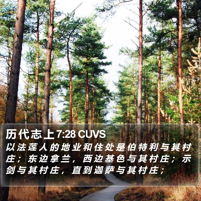 历 代 志 上 7:28 CUVS Bible Study