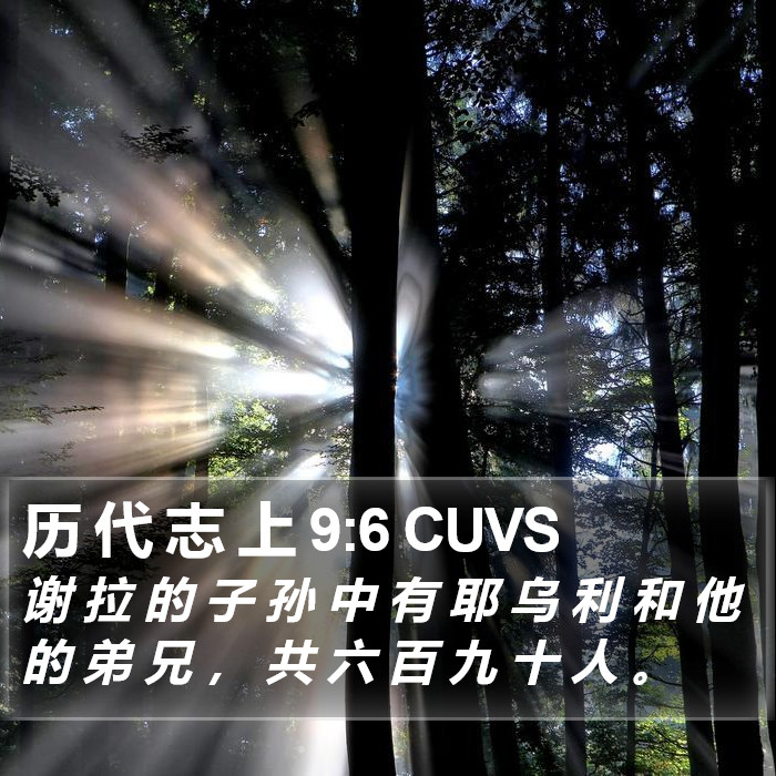 历 代 志 上 9:6 CUVS Bible Study