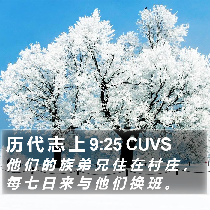 历 代 志 上 9:25 CUVS Bible Study