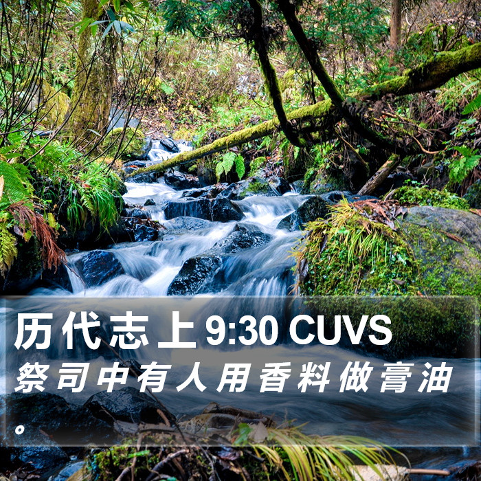 历 代 志 上 9:30 CUVS Bible Study