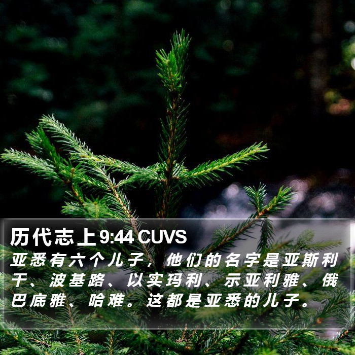 历 代 志 上 9:44 CUVS Bible Study