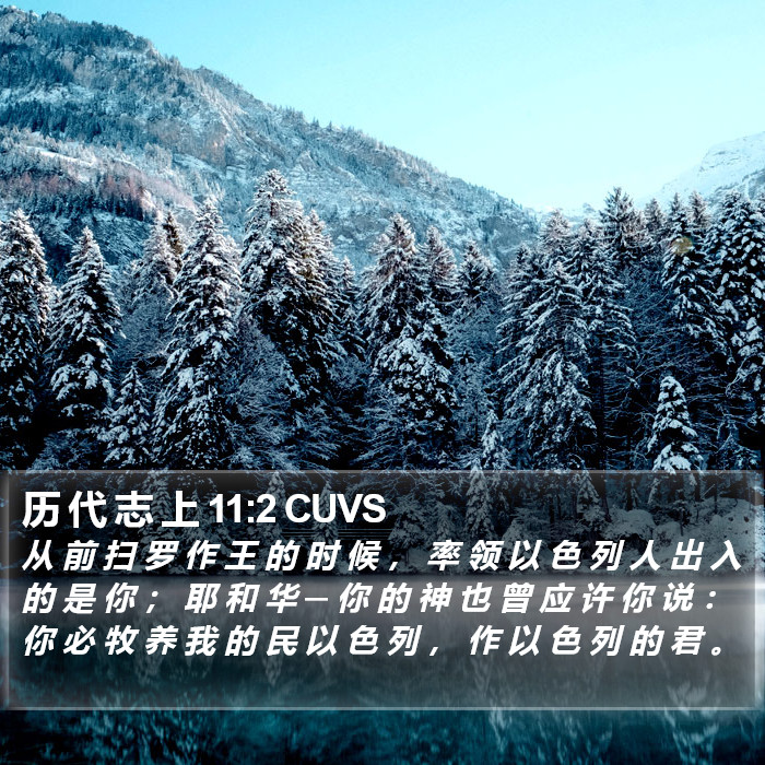 历 代 志 上 11:2 CUVS Bible Study