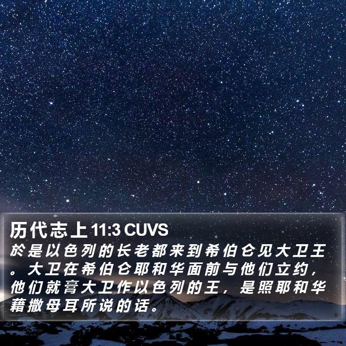 历 代 志 上 11:3 CUVS Bible Study