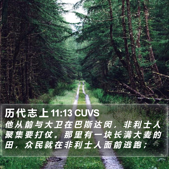 历 代 志 上 11:13 CUVS Bible Study