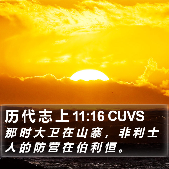 历 代 志 上 11:16 CUVS Bible Study