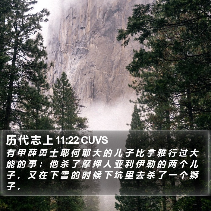 历 代 志 上 11:22 CUVS Bible Study