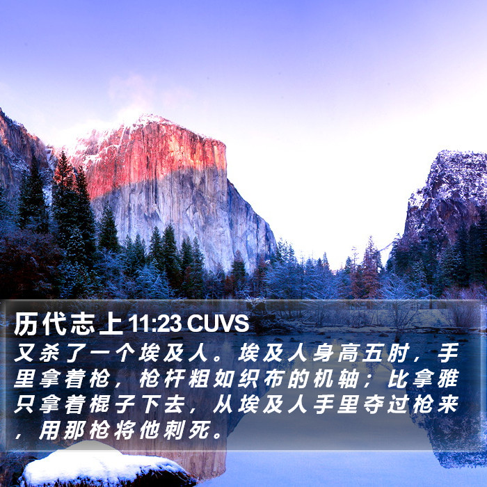 历 代 志 上 11:23 CUVS Bible Study