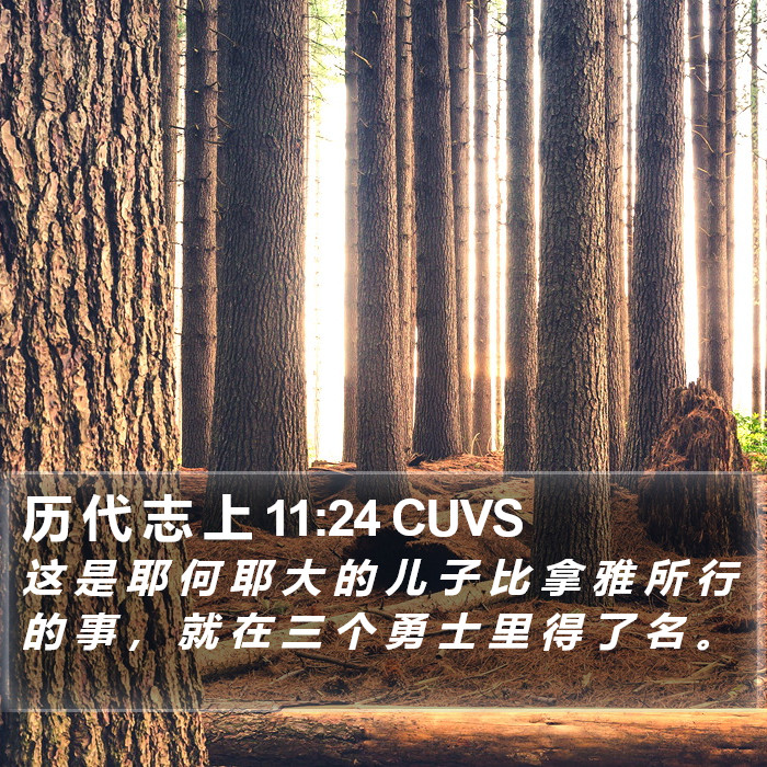 历 代 志 上 11:24 CUVS Bible Study