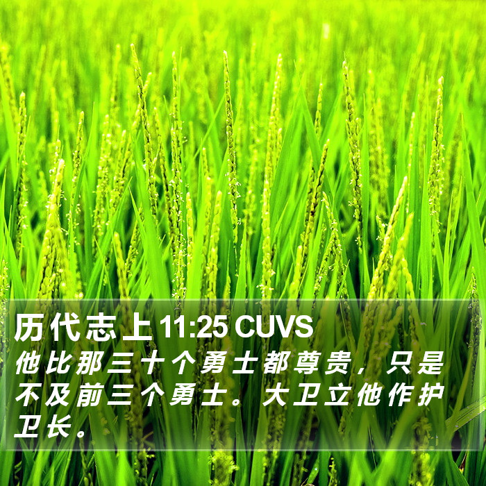 历 代 志 上 11:25 CUVS Bible Study