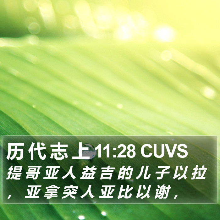 历 代 志 上 11:28 CUVS Bible Study