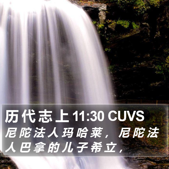 历 代 志 上 11:30 CUVS Bible Study