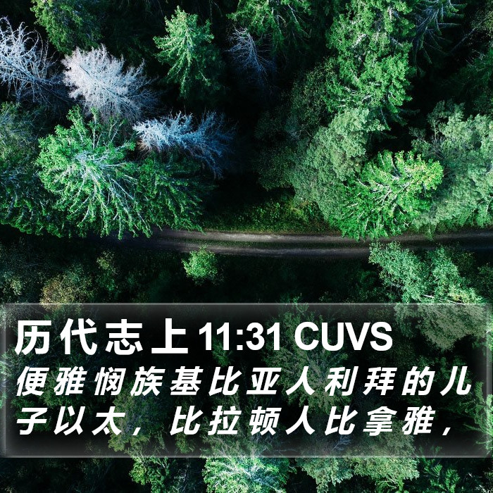 历 代 志 上 11:31 CUVS Bible Study