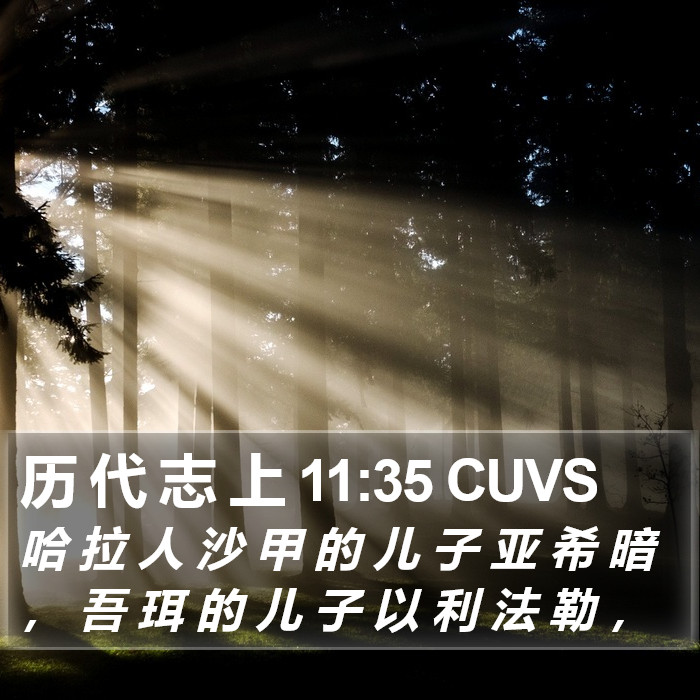 历 代 志 上 11:35 CUVS Bible Study