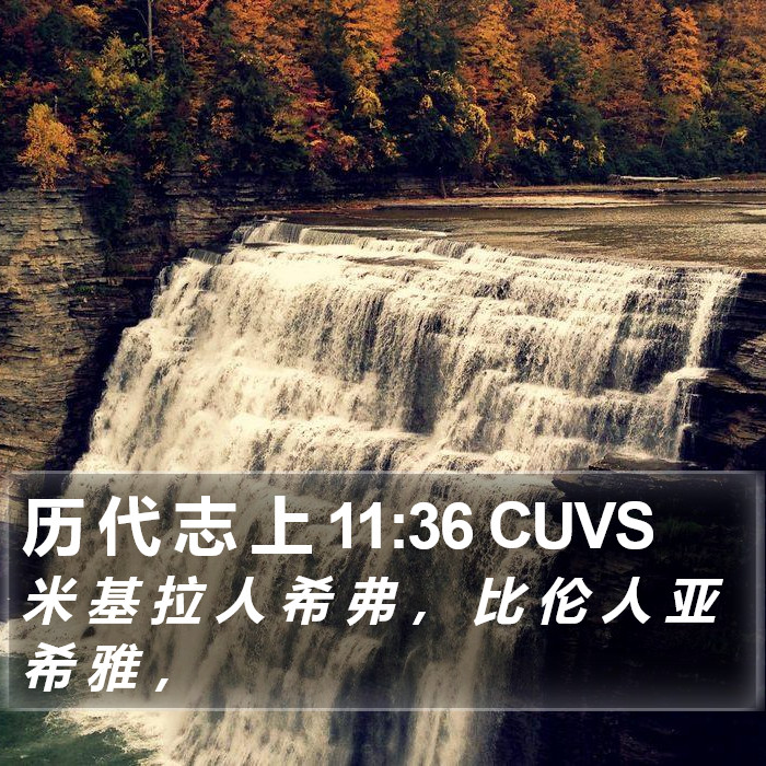 历 代 志 上 11:36 CUVS Bible Study