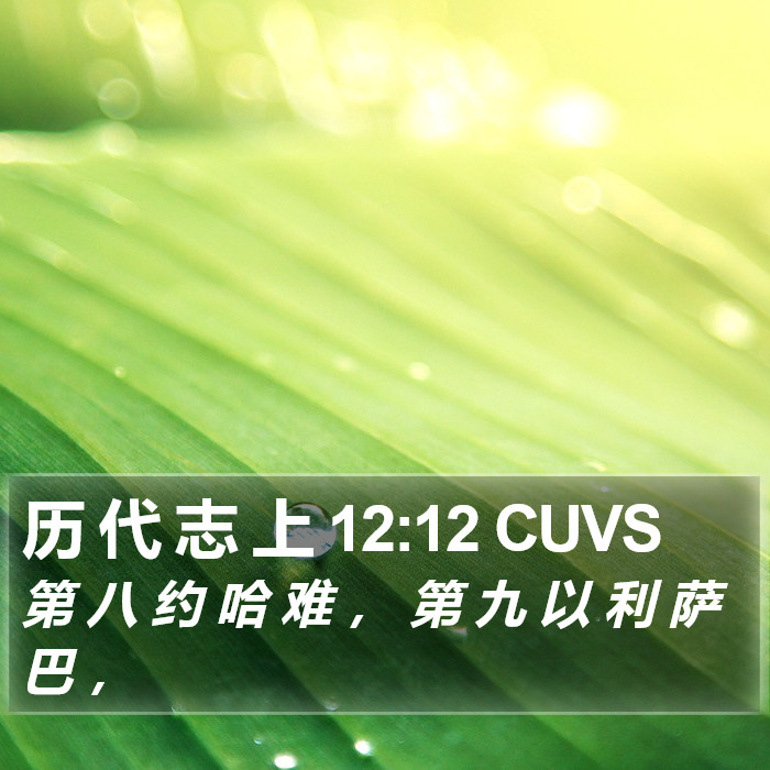 历 代 志 上 12:12 CUVS Bible Study