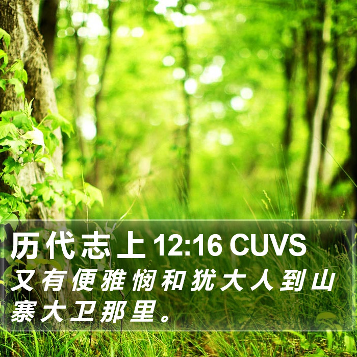 历 代 志 上 12:16 CUVS Bible Study