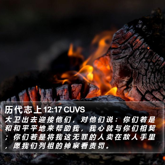 历 代 志 上 12:17 CUVS Bible Study
