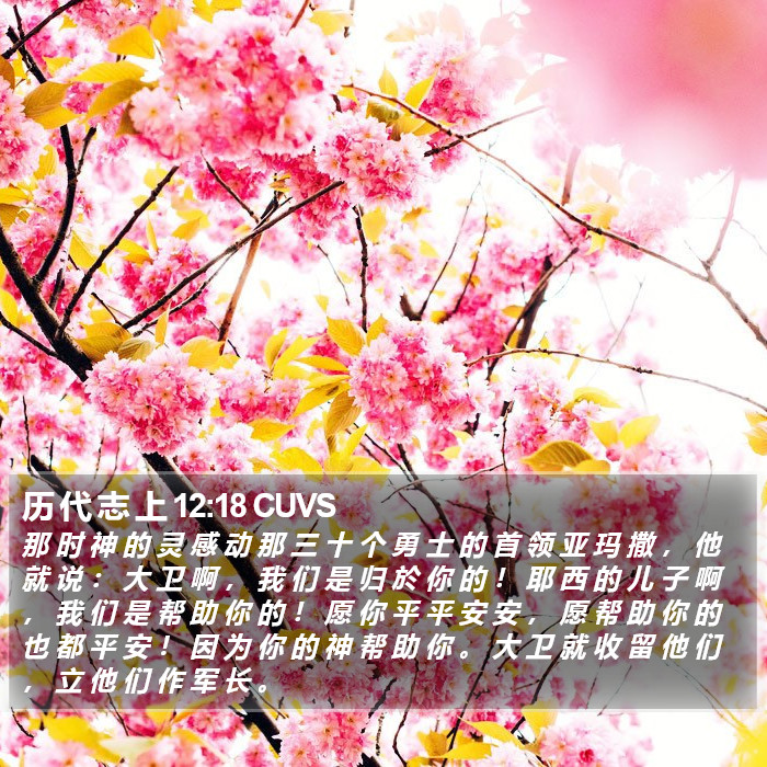 历 代 志 上 12:18 CUVS Bible Study