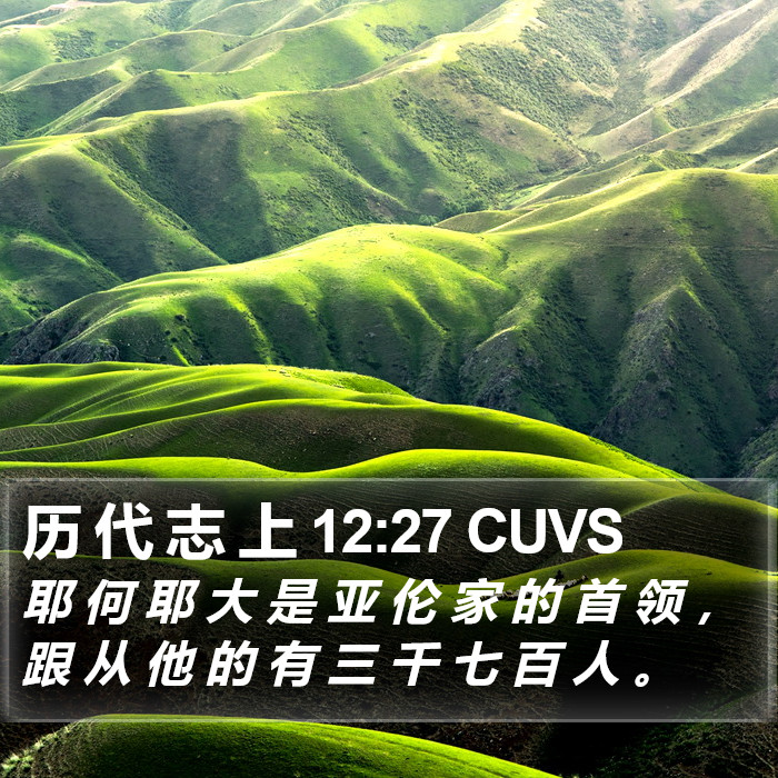 历 代 志 上 12:27 CUVS Bible Study