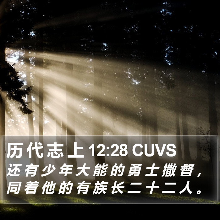 历 代 志 上 12:28 CUVS Bible Study