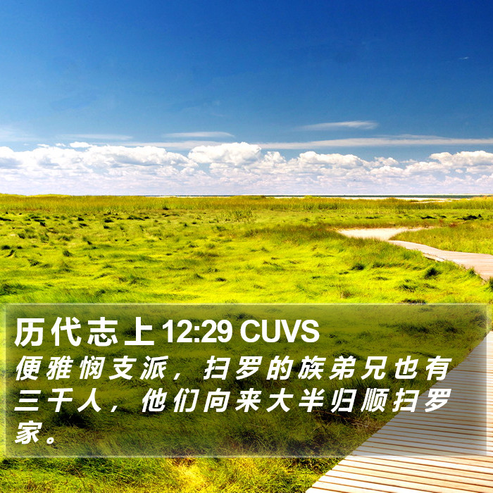 历 代 志 上 12:29 CUVS Bible Study