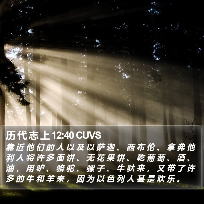 历 代 志 上 12:40 CUVS Bible Study