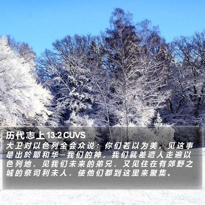 历 代 志 上 13:2 CUVS Bible Study