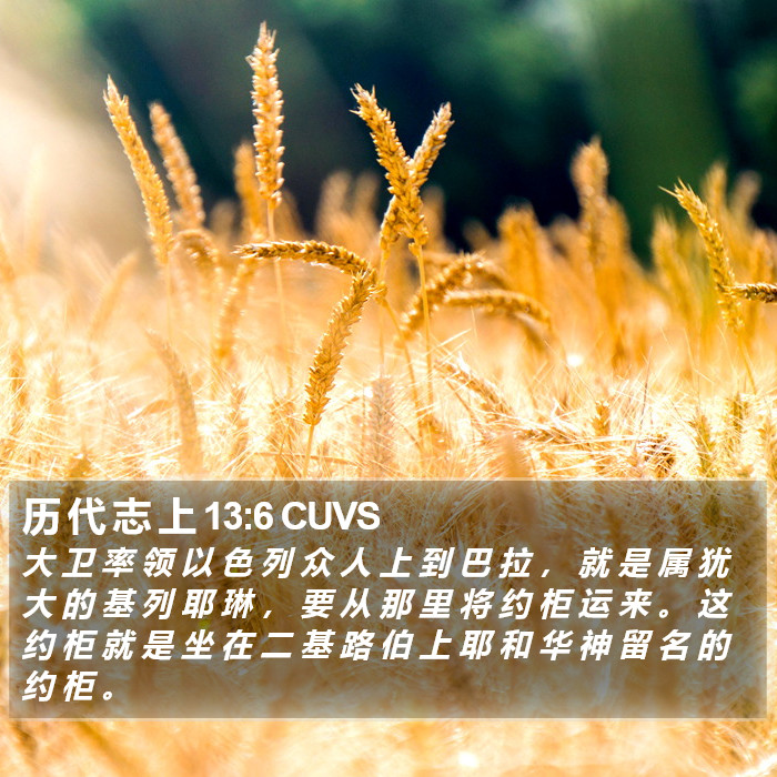 历 代 志 上 13:6 CUVS Bible Study