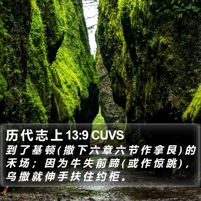 历 代 志 上 13:9 CUVS Bible Study