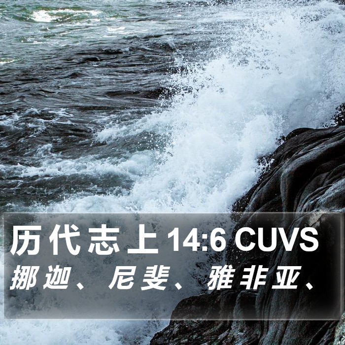 历 代 志 上 14:6 CUVS Bible Study