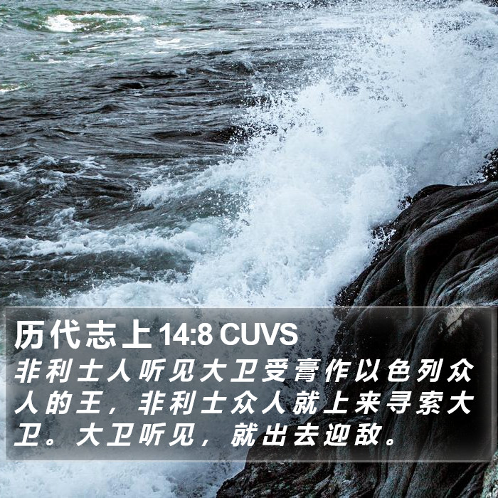 历 代 志 上 14:8 CUVS Bible Study