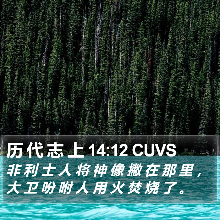 历 代 志 上 14:12 CUVS Bible Study